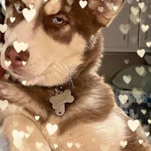 Meet your Posher, Mandy